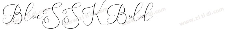 BlocSSK Bold字体转换